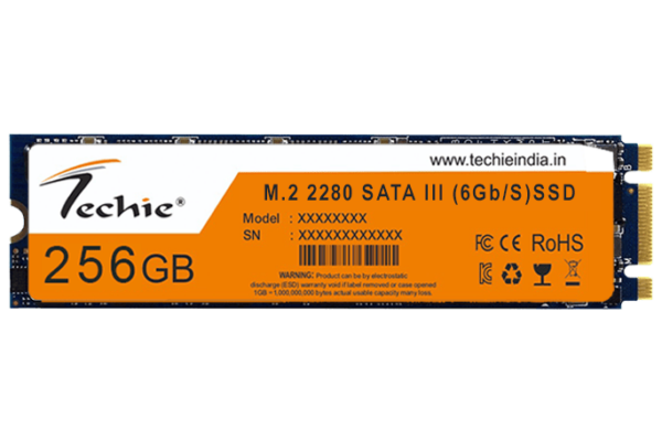 Techie M.2 SSD | Solid State Drive 256 GB